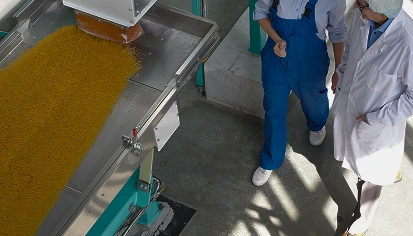 GMP – Good Manufacturing Practice