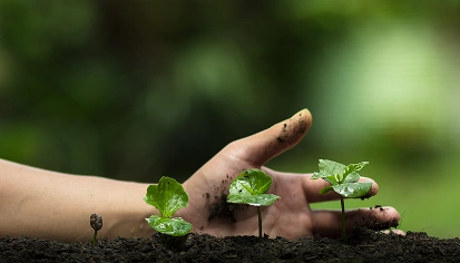 ISO 14001 – Environmental Management System